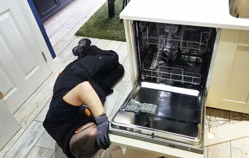 Dishwasher Servicing